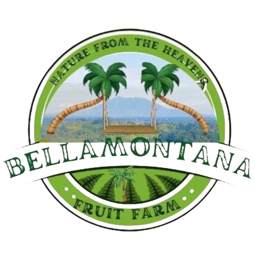 Bella Montana Fruit Farm logo